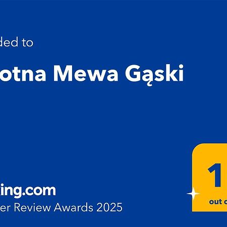 Zalotna Mewa Gaski Ngoại thất bức ảnh